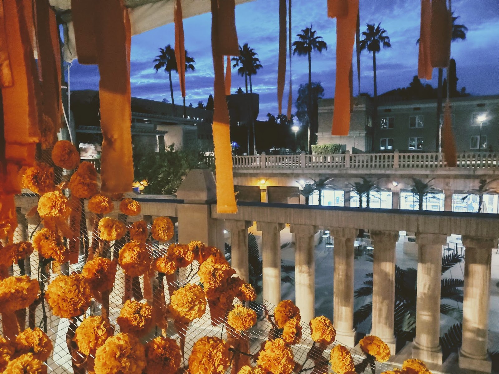 Marigolds Installation 2021-2
