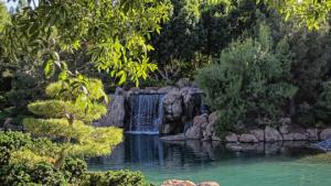 Japanese garden in Phoenix