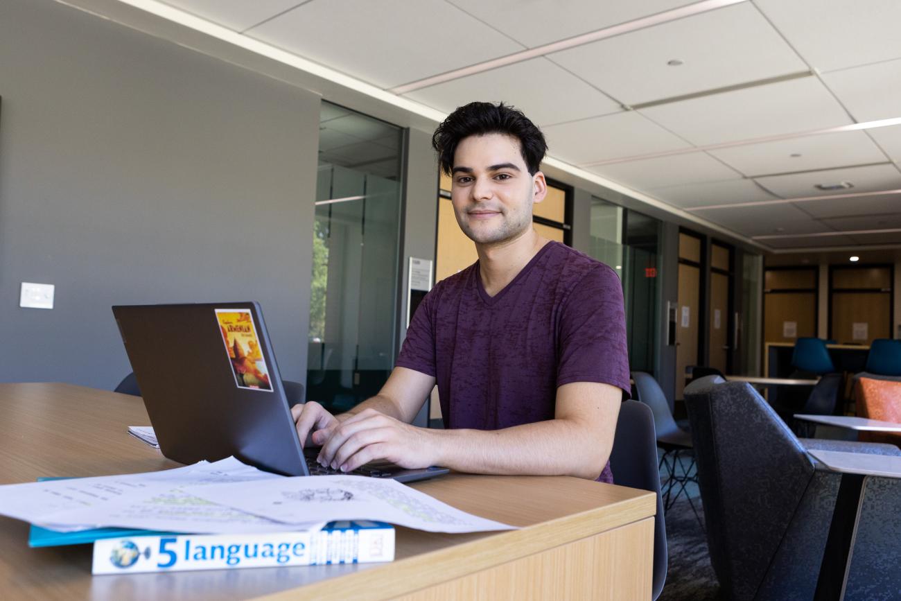 Online Language Offerings
