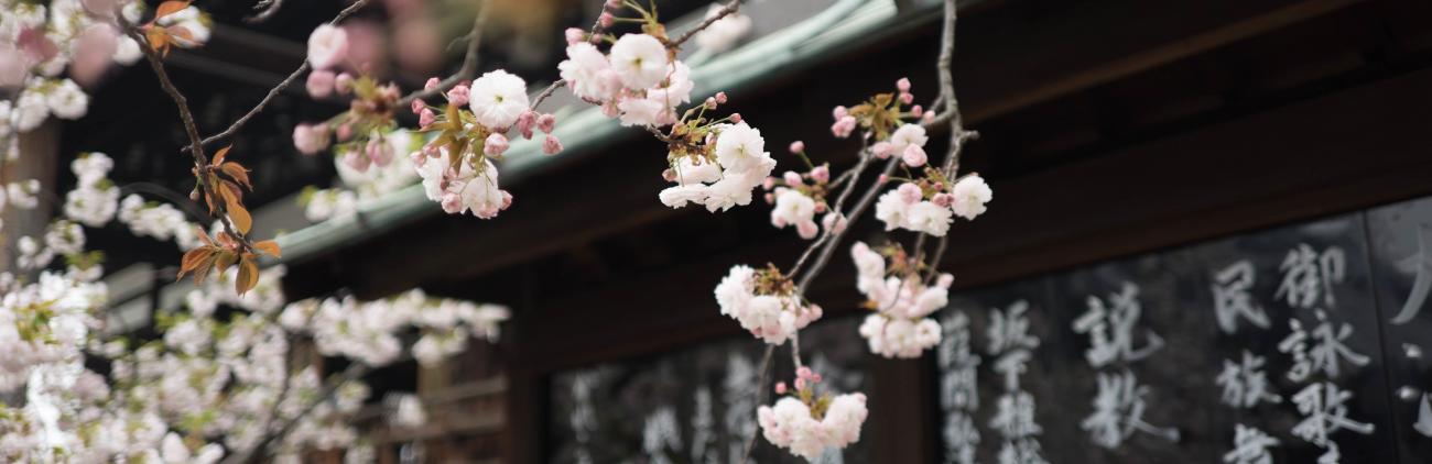 Japanese